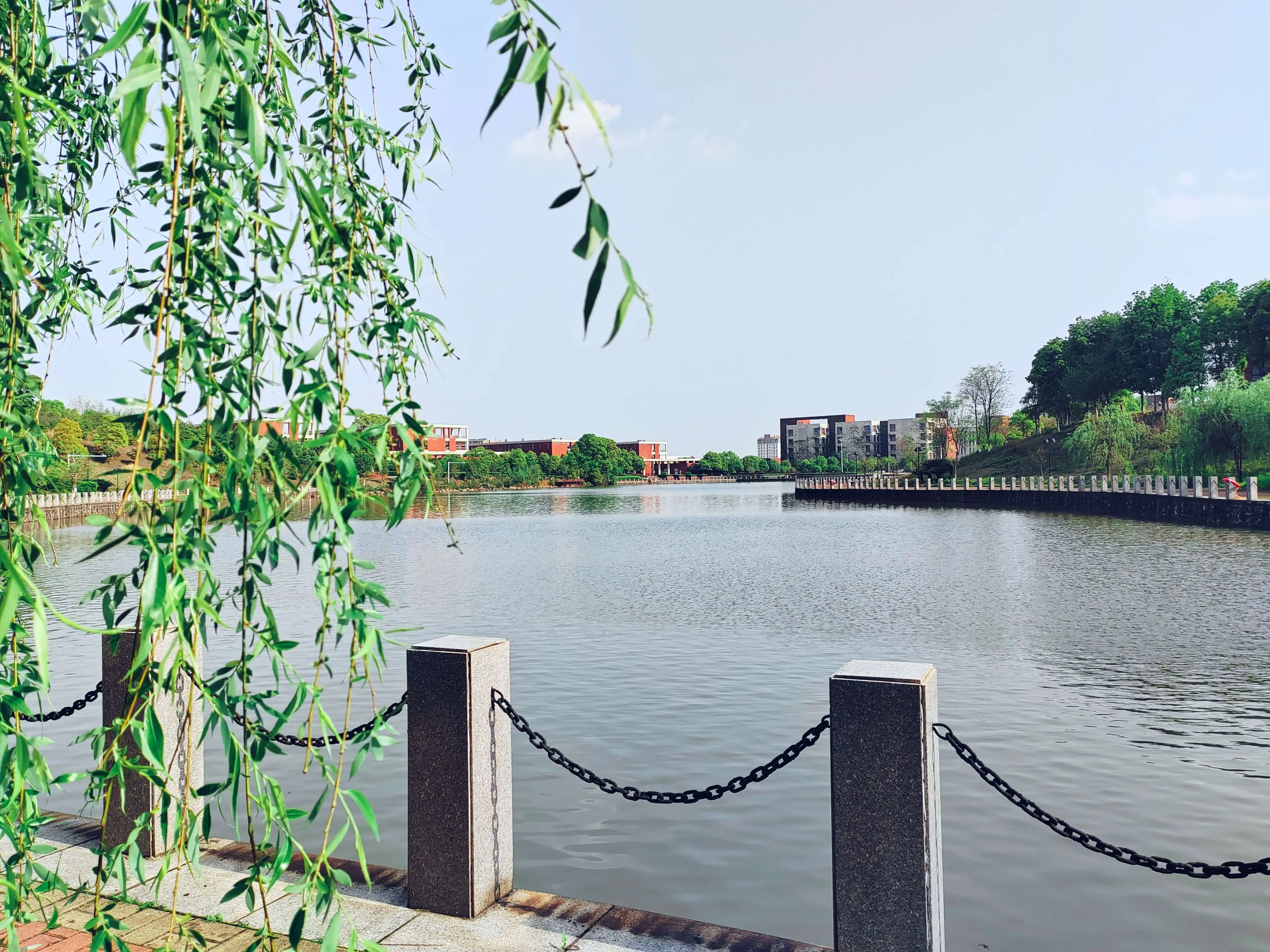 2023-4-7日新余学院图书馆一角。画面左侧垂柳枝条细长,嫩绿叶片垂落至前景。湖水开阔平静,右侧有石质护栏与铁链。远处可见红棕色建筑与错落的绿化树木,天空中有少量白云,呈现清新自然的湖边景致。